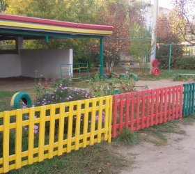 Берёзка